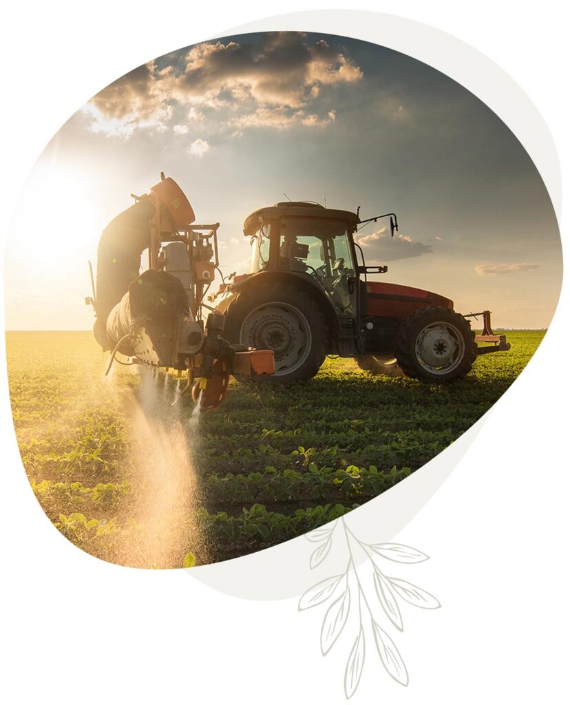 Servicios agrícolas en Quero