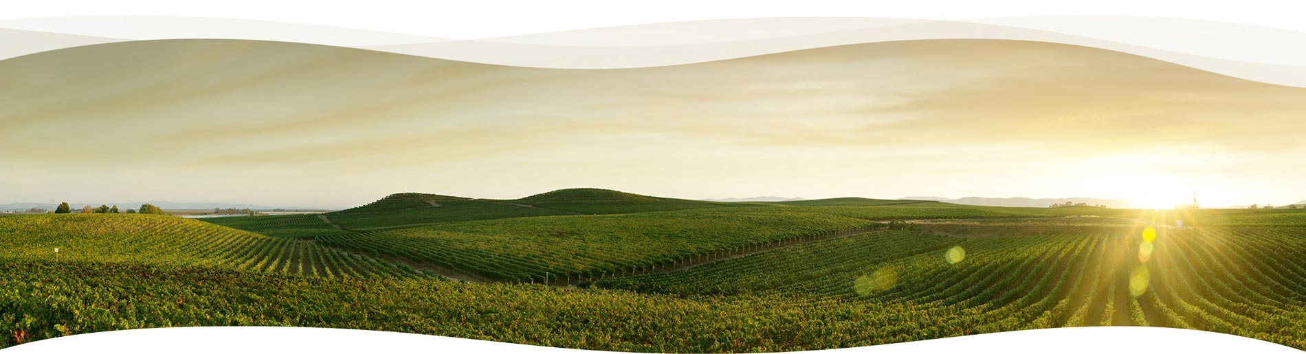 Belén Quirós - Servicios agrícolas en Quero